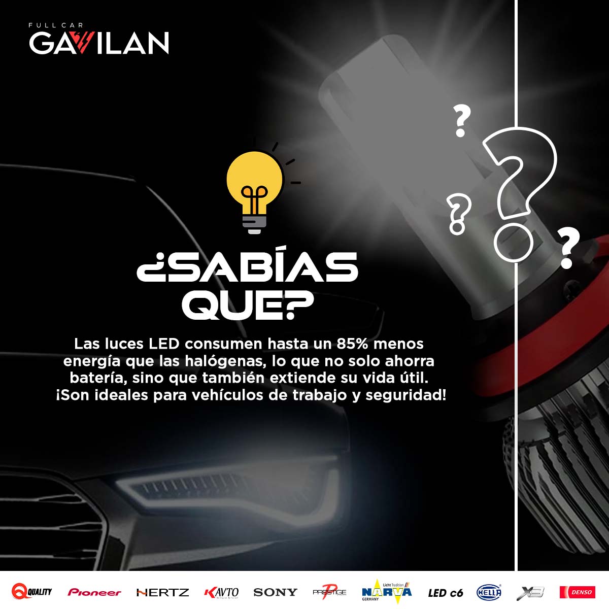 462779468_1093700366095946_1642519350536479403_n